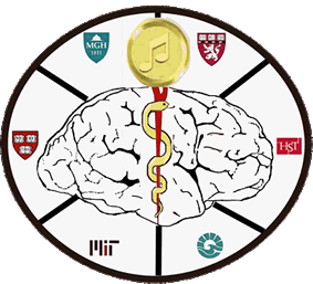 Brain.MusicInstitute